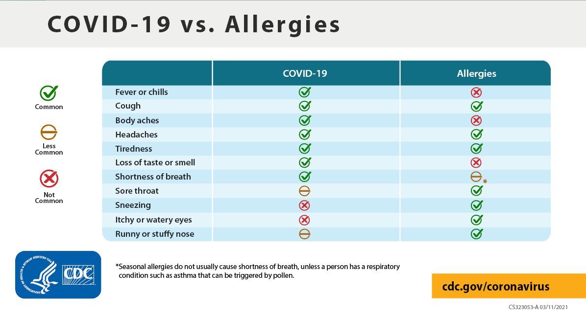 Covid Or Allergies